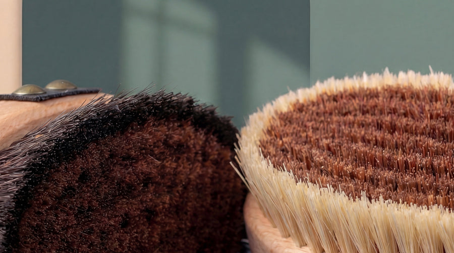 Dry Brushing Guide: Wissenschaft, Technik & Bürste