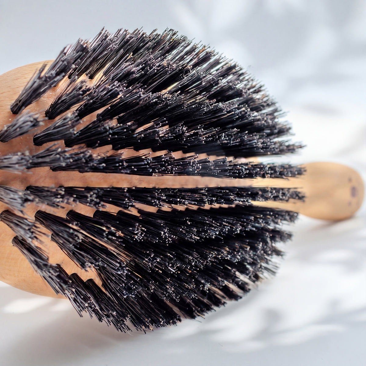 Haarbürste Wildschweinborsten, gross, mittel-fest