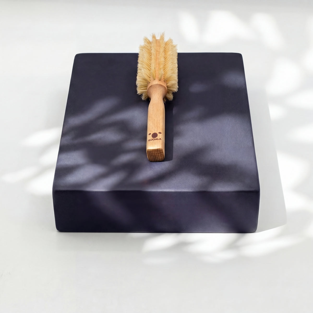 Föhnbürste (Mittel, Tampico, fest, Vegan)