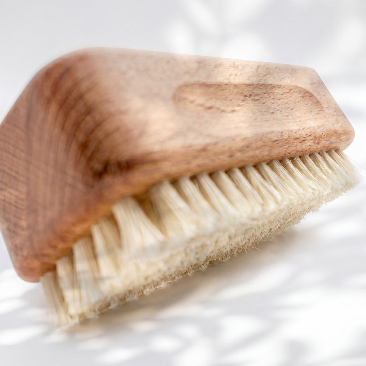 Workshop Brush, Pig Bristles, Medium