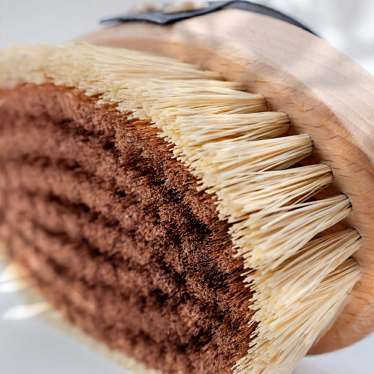 Fasern der Trockenbürste aus der Nähe: helle Bündel in Reihen, rechts der helle Holzrand