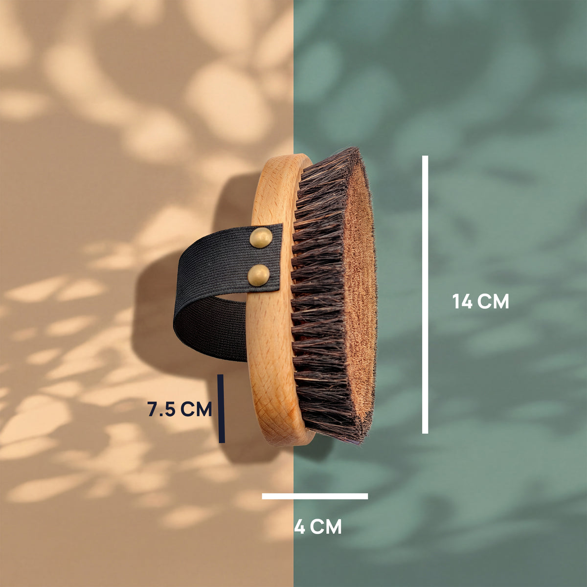 Massgrafik der Trockenbürste: 14 cm lang, 4 cm dick im Profil, dazu die Angabe 7,5 cm.